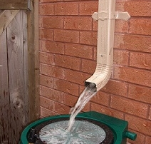 Collecting Rainwater to Water Your Garden