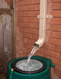 Collecting Rainwater to Water Your Garden