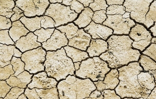 Counting the Cost of South Africa's Worst Drought in 23 Years