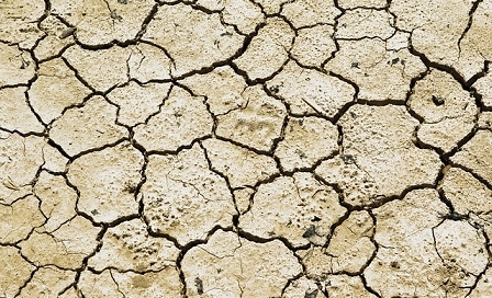 Counting the Cost of South Africa's Worst Drought in 23 Years