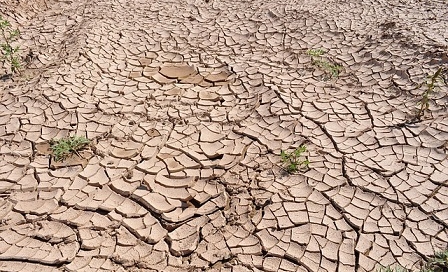 How Did Israel Manage to Defy the Drought?