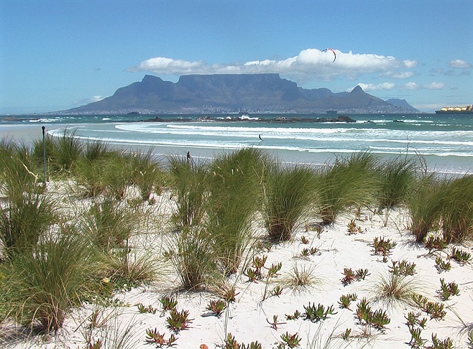 City of Cape Town Finalist in C40 Cities Awards