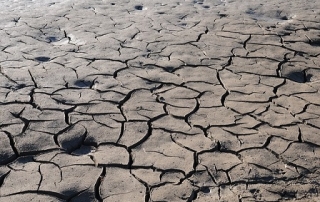 The Global Threat of Drought