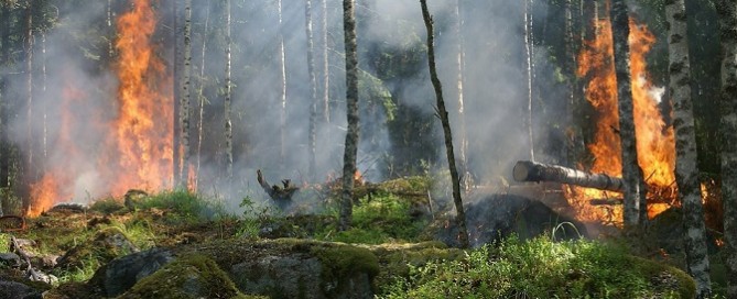 Fire-Season; Another Vital Reason to Save Water