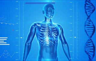 The Effects of Water Loss on the Human Body