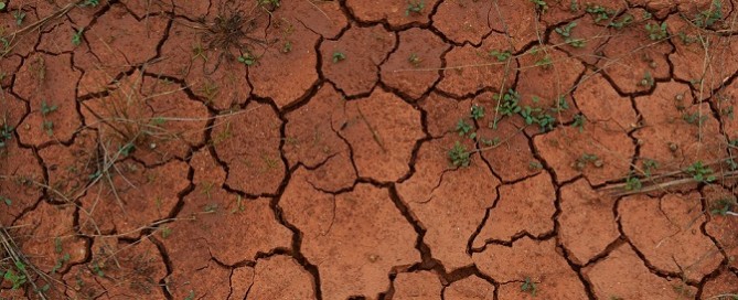 Zimbabwe's Household Water Supply in Jeopardy Due to Drought