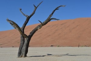 WayÃºu Community of Colombia Face Deadly Droughts