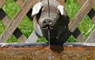 Help! I Hate Drinking Water