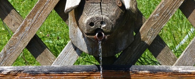 Help! I Hate Drinking Water