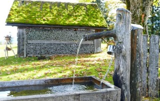 The Health Hazards in your Water