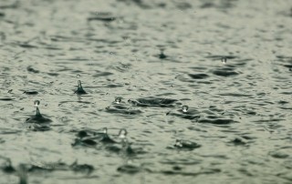 Water Shortage Warning Issued in the UK