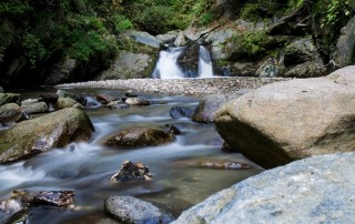 What are the Benefits of Drinking Spring Water?