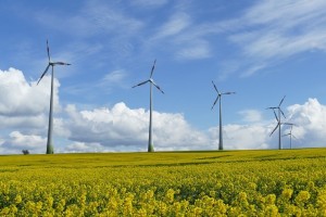 Jamaica Utilising Wind-Powered Lagoon Water Treatment 