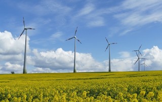 Jamaica Utilising Wind-Powered Lagoon Water Treatment