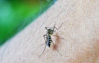 Waterborne Diseases; The Greatest Killers of All