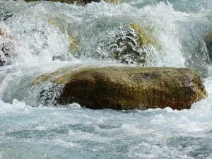 World Water Week 2016 - ˜Water for Sustainable Growth'