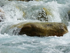 World Water Week 2016 - â€˜Water for Sustainable Growth'