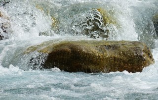 World Water Week 2016 - ˜Water for Sustainable Growth'