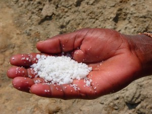 salt-hand