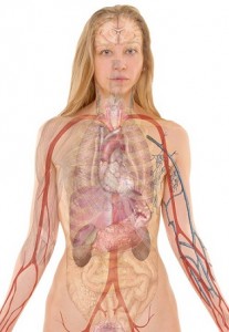 Why You Should Not Ignore the Signals Your Body is Sending You