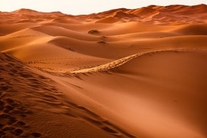 Is Desertification a Reality?