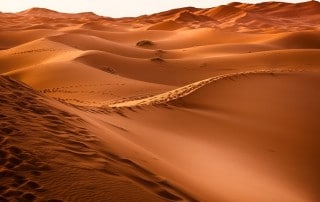 Is Desertification a Reality?