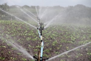 Improving Africa's Irrigation Infrastructure