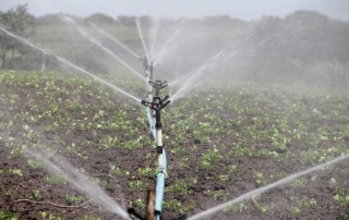 Improving Africa's Irrigation Infrastructure