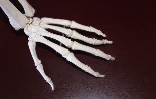 Magnesium-Rich Drinking Water Good for your Bones