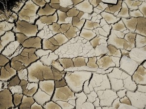Lessons from the Millennium Drought