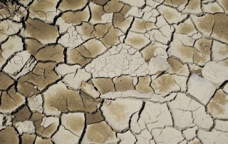 Lessons from the Millennium Drought