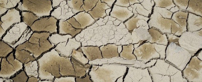 Lessons from the Millennium Drought