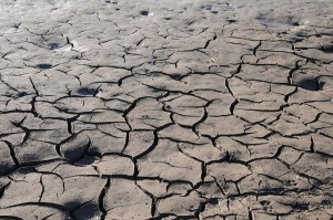More Action is Required to Guard Against Growing Drought Risk 