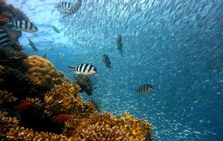Is Deep Ocean Water the Answer to Better Hydration?