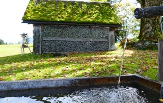Water is Precious - Don't Waste It