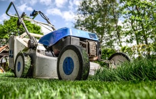 Get Rid of Your Lawn and Save Water