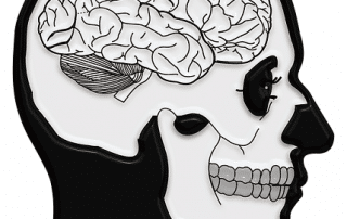 Why Drinking Water is Necessary for Your Brain