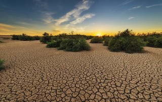 More Action Required to Protect Against Drought Risk