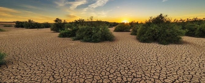 More Action Required to Protect Against Drought Risk