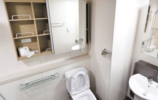 What Gets Flushed in Your Home?