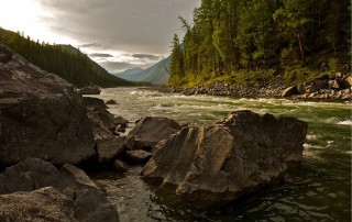 NestlÃ© Tasked to Prove Water Rights to Strawberry Creek