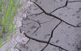 Can Powdered Water Conservation Product Prevent Future Drought Disasters?