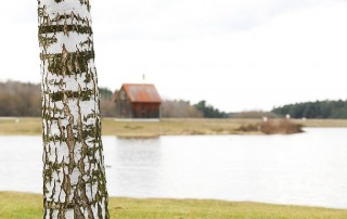 Tips for Saving Water & Using Grey Water at Home