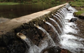 What are the Trends for our Uncertain Water Future?