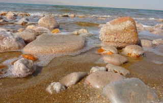 The Message that the Dead Sea has for Us