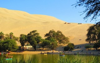 Transforming an Arid Landscape into an Oasis