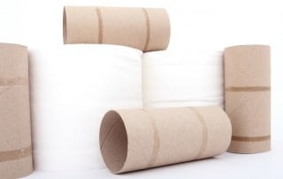 Sanitation - The New Global Revolution