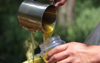 The Benefits of Drinking Lemon Honey Water in the Morning