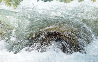 The Importance of Managing Wastewater
