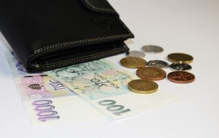 How Does Inequality Affect the Environment?